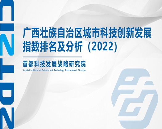 操的美女啊啊啊的叫【成果发布】广西壮族自治区城市科技创新发展指数排名及分析（2022）